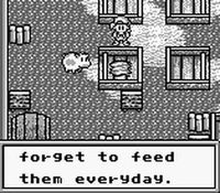 Harvest Moon GB